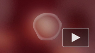 В Дании разработали виртуального помощника с гендерно-нейтральным голосом