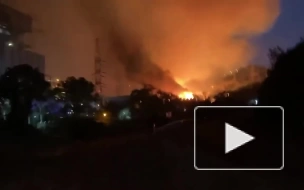 Лесной пожар на западе Турции достиг ТЭС около города Милас