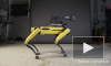 Boston Dynamics опубликовал видео зажигательного танца робота