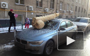 Огромный натуралистичный пенис украсил машину "Перзидента Роисси"