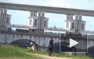 ФСБ показала видео задержания россиянки, собиравшей Украине информацию для теракта на ГЭС