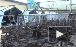 Число погибших детей при пожаре в палаточном лагере под Хабаровском выросло до четырех 