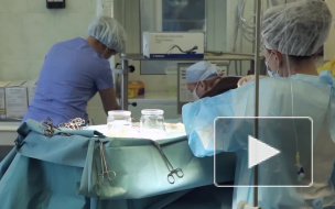 Водитель попутки прострелил ногу несговорчивому гендиректору из Петербурга