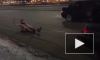 Видео из Екатеринбурга: голый парень прокатился на ватрушки по центру города