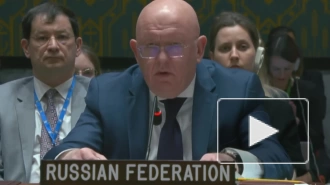 Небензя указал на нежелание многих стран участвовать в интригах Запада на Украине