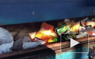 Видео: в Петербурге уничтожили более 300 килограммов "санкционки"