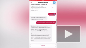 Раскрыт принцип действия рабочих пропусков в регионах России