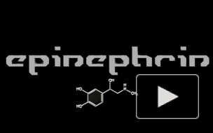 Epinephrin - Shizophren