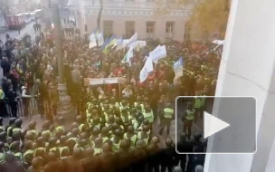 Митинги в Киеве: фото, видео, последние новости 