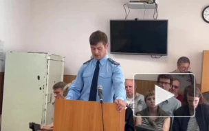 В Ленобласти мужчина приговорен к реальному сроку за дискредитацию ВС РФ