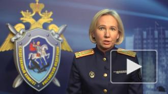 Следствию не удалось найти заказчиков дела Голунова 