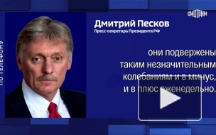 В Кремле прокомментировали высокое доверие россиян Путину