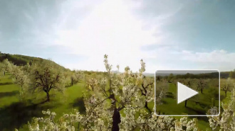 В Гидрометцентре рассказали о погоде в марте