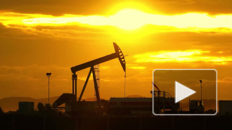 Экспортная цена российской нефти Urals стала отрицательной