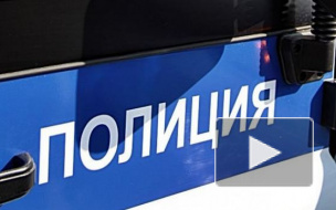 В Петербурге пьяные хулиганы разбили стекло в автобусе и избили водителя