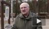 Лукашенко заявил, что организатор покушения на него "ответит на всю катушку"