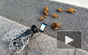 В Петербурге появился памятник мухе, фотографирующей навоз