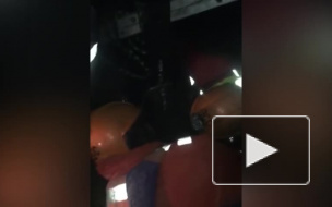 Подросток провалился в болото у Выборгского шоссе