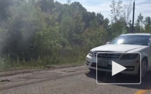 Водитель зловещего Mercedes с номером 666 сбежал, после того, как насмерть сбил женщину