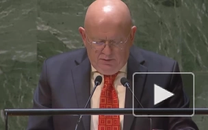 Небензя: СБ ООН стал заложником ближневосточной политики США