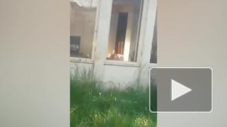 Вандалы разгромили офис консульства Венесуэлы в Колумбии