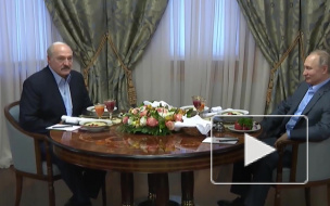 Путин дал оценку переговорам с Лукашенко