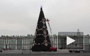 Синоптики рассказали о погоде в новогоднюю ночь в Петербурге