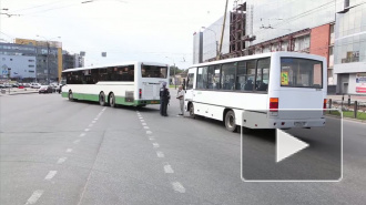 Авария двух автобусов собрала пробку на Заневском