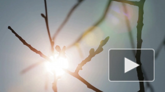 Гидрометцентр заявил о ранней весне в России