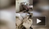 В пермской квартире из-за взрыва электросамоката обрушилась стена 
