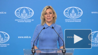 Захарова прокомментировала решение ЕС продлить санкции против Сирии