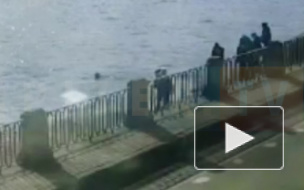 Момент спасения мужчины из Фонтанки попал на видео