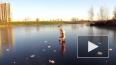 Видео: в Купчино мужчина станцевал брейк-данс на льду бе...
