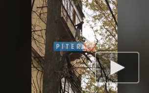 Осеннее обострение: Девушка устроила прогулку по балконам 7 этажа на улице Гастелло