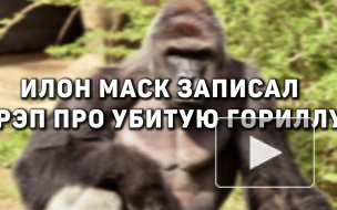 Илон Маск записал рэп про убитую гориллу