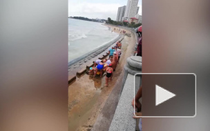 Петербуржец погиб во Вьетнаме, пытаясь спасти тонущего земляка