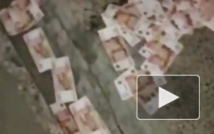 Попытавшись избавиться от улик, мошенники раскидали пятитысячные купюры на дороге в Москве