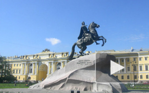 11-летнюю девочку укусила обезьяна у памятника Петру Первому в Петербурге, ребенку оказали помощь в больнице