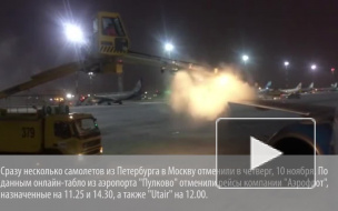 Самолет Lufthansa вернулся в Пулково с полпути
