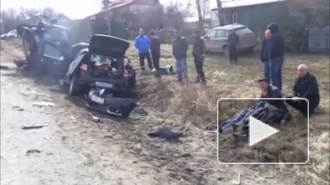 Появились подробности смертельного ДТП в Луховицком районе Подмосковья, в котором погибли три ребенка