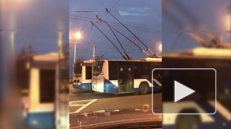 Видео: два троллейбуса сцепились "рогами" на Васильевском острове