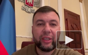 Пушилин: юристы адаптируют законы ДНР под стандарты России
