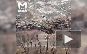 В Хабаровске ледоход снес ограждение набережной и чуть не задавил людей
