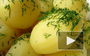 Михалков и Кончаловский вставили в название своего общепита слово из трех букв