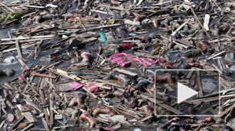 Красота (спасёт|уничтожит) мир! нужное подчеркнуть