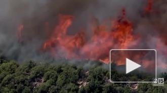 Жители жители Аризоны эвакуируются из-за природных пожаров