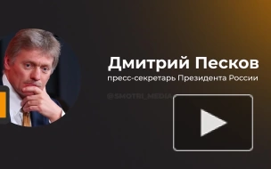 Песков: Москва не понимает ни логику санкций Брюсселя, ни решений о их снятии и продлении