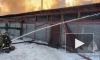 В Южно-Сахалинске загорелся приют для безнадзорных животных