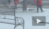 В первые дни Нового года Петербург завалило снегом