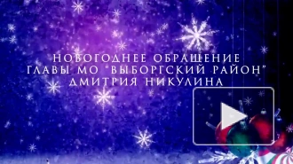 Дмитрий Никулин поздравил выборжцев с Новым годом и Рождеством